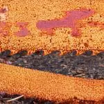 Image of a old, worn, rusty bandsaw blade